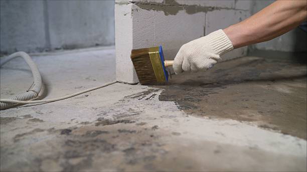 Top rated local Basement Waterproofing specialists in Louisville, TN
